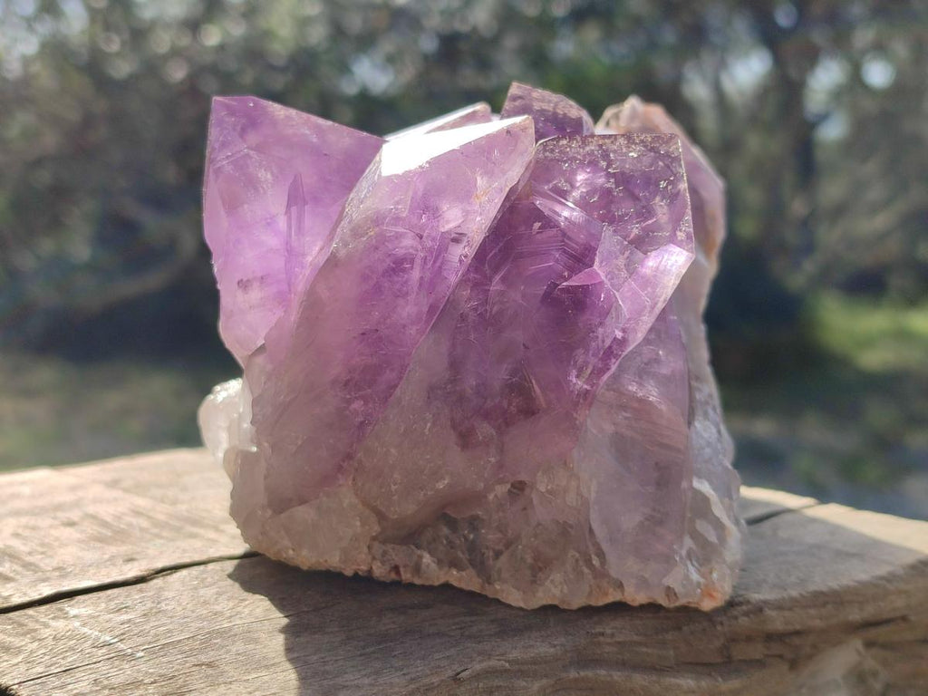 Natural Jacaranda Amethyst Crystal Clusters x 4 From Mumbwa, Zambia - Toprock Gemstones and Minerals 