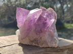 Natural Jacaranda Amethyst Crystal Clusters x 4 From Mumbwa, Zambia - Toprock Gemstones and Minerals 