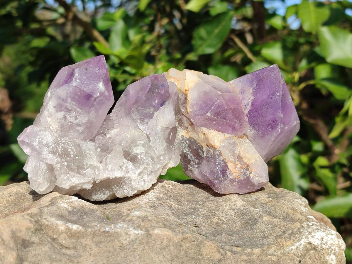 Natural Jacaranda Amethyst Crystal Clusters x 4 From Mumbwa, Zambia - Toprock Gemstones and Minerals 