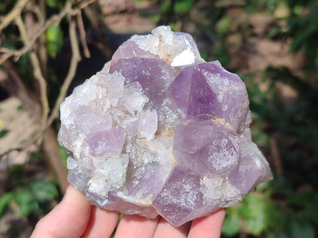 Natural Jacaranda Amethyst Crystal Clusters x 4 From Mumbwa, Zambia - Toprock Gemstones and Minerals 