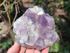 Natural Jacaranda Amethyst Crystal Clusters x 4 From Mumbwa, Zambia - Toprock Gemstones and Minerals 