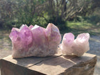 Natural Jacaranda Amethyst Crystal Clusters x 4 From Mumbwa, Zambia - Toprock Gemstones and Minerals 