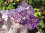Natural Jacaranda Amethyst Crystal Clusters x 4 From Mumbwa, Zambia - Toprock Gemstones and Minerals 