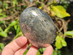 Polished XL Basalt Pharaoh Stone Free Forms x 3 From Iron Duke Mine, Zimbabwe - Toprock Gemstones and Minerals 