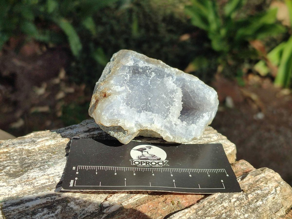 Natural Blue Lace Agate Geode Specimens x 12 From Nsanje, Malawi - Toprock Gemstones and Minerals 