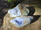 Natural Blue Lace Agate Geode Specimens x 12 From Nsanje, Malawi - Toprock Gemstones and Minerals 