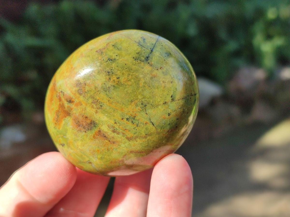 Polished Green Opal Palm Stones x 12 From Betroka, Madagascar - Toprock Gemstones and Minerals 