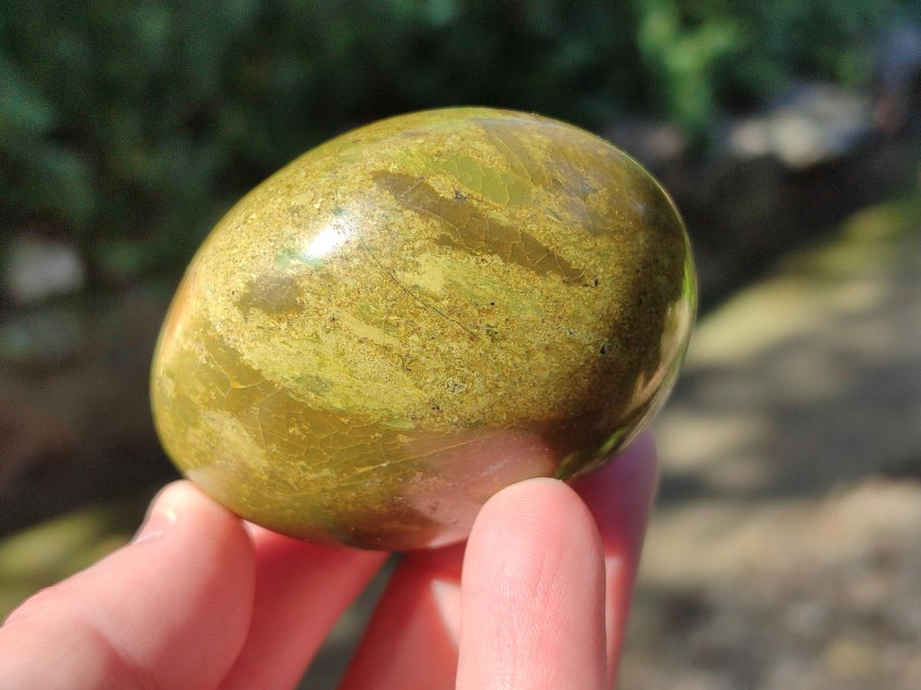 Polished Green Opal Palm Stones x 12 From Betroka, Madagascar - Toprock Gemstones and Minerals 