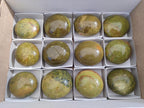 Polished Green Opal Palm Stones x 12 From Betroka, Madagascar - Toprock Gemstones and Minerals 