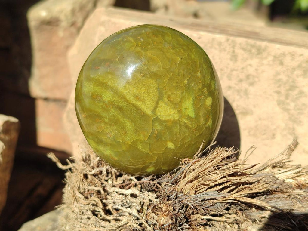 Polished Green Opal Palm Stones x 12 From Betroka, Madagascar - Toprock Gemstones and Minerals 