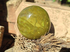 Polished Green Opal Palm Stones x 12 From Betroka, Madagascar - Toprock Gemstones and Minerals 