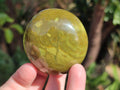 Polished Green Opal Palm Stones x 12 From Betroka, Madagascar - Toprock Gemstones and Minerals 