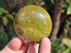 Polished Green Opal Palm Stones x 12 From Betroka, Madagascar - Toprock Gemstones and Minerals 