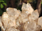 Natural Cascading White Phantom Smokey Luena Quartz Clusters x 2 From Luena, Congo - Toprock Gemstones and Minerals 