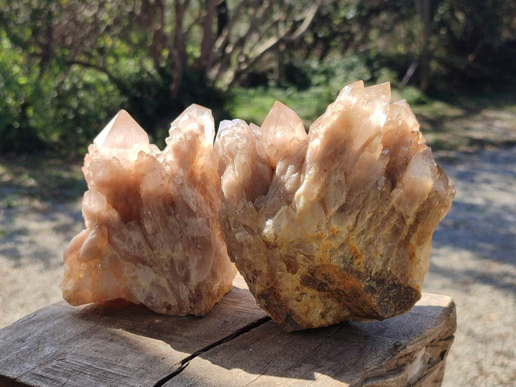 Natural Cascading White Phantom Smokey Luena Quartz Clusters x 2 From Luena, Congo - Toprock Gemstones and Minerals 