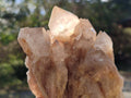 Natural Cascading White Phantom Smokey Luena Quartz Clusters x 2 From Luena, Congo - Toprock Gemstones and Minerals 