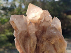 Natural Cascading White Phantom Smokey Luena Quartz Clusters x 2 From Luena, Congo - Toprock Gemstones and Minerals 