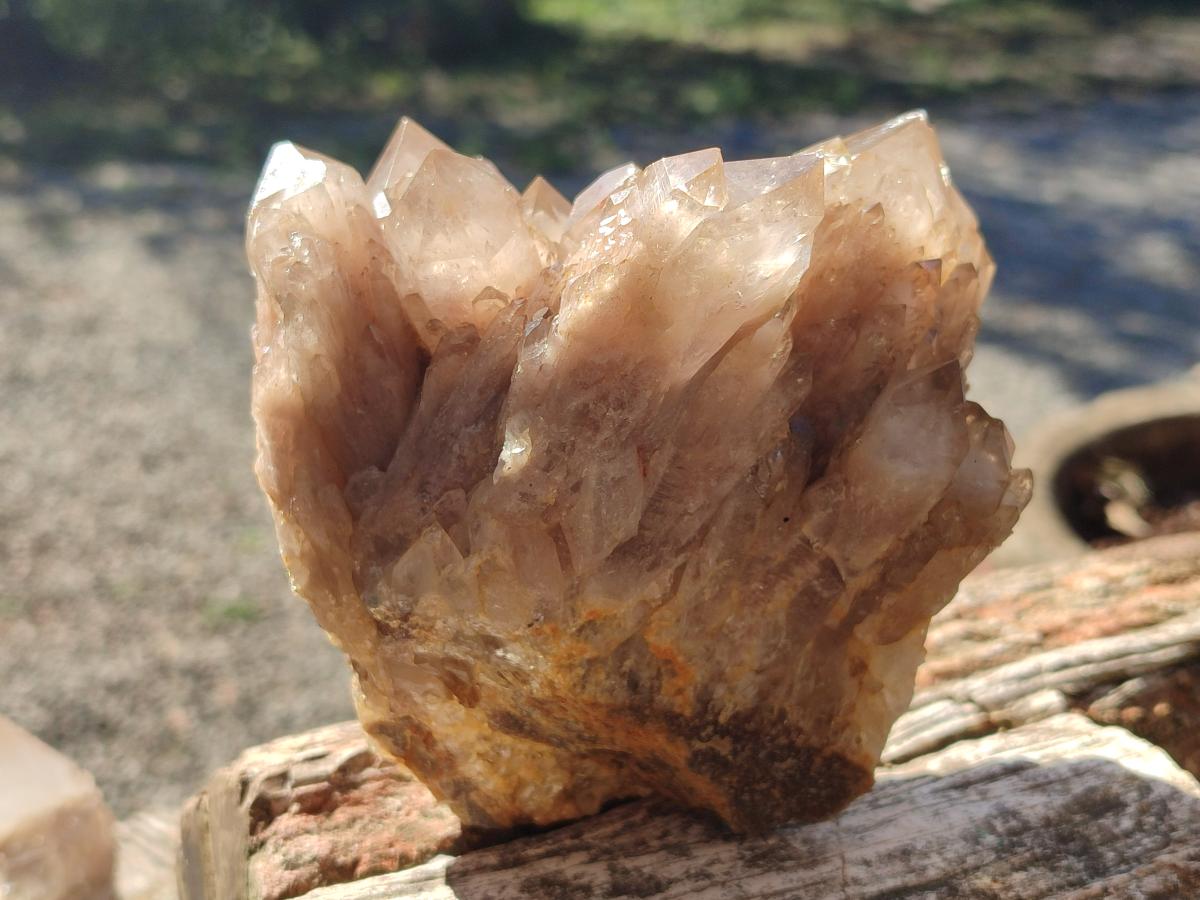 Natural Cascading White Phantom Smokey Luena Quartz Clusters x 2 From Luena, Congo - Toprock Gemstones and Minerals 