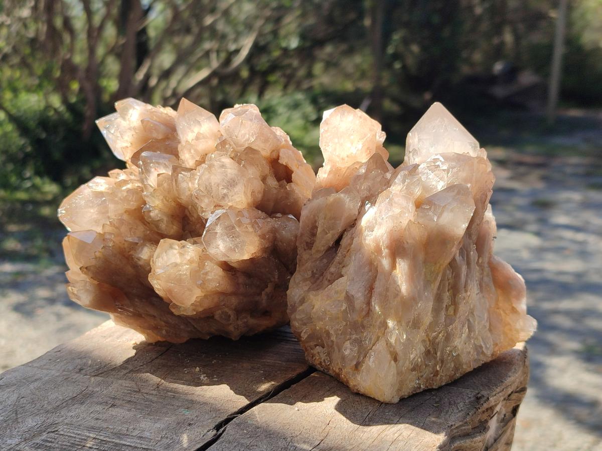 Natural Cascading White Phantom Smokey Luena Quartz Clusters x 2 From Luena, Congo - Toprock Gemstones and Minerals 