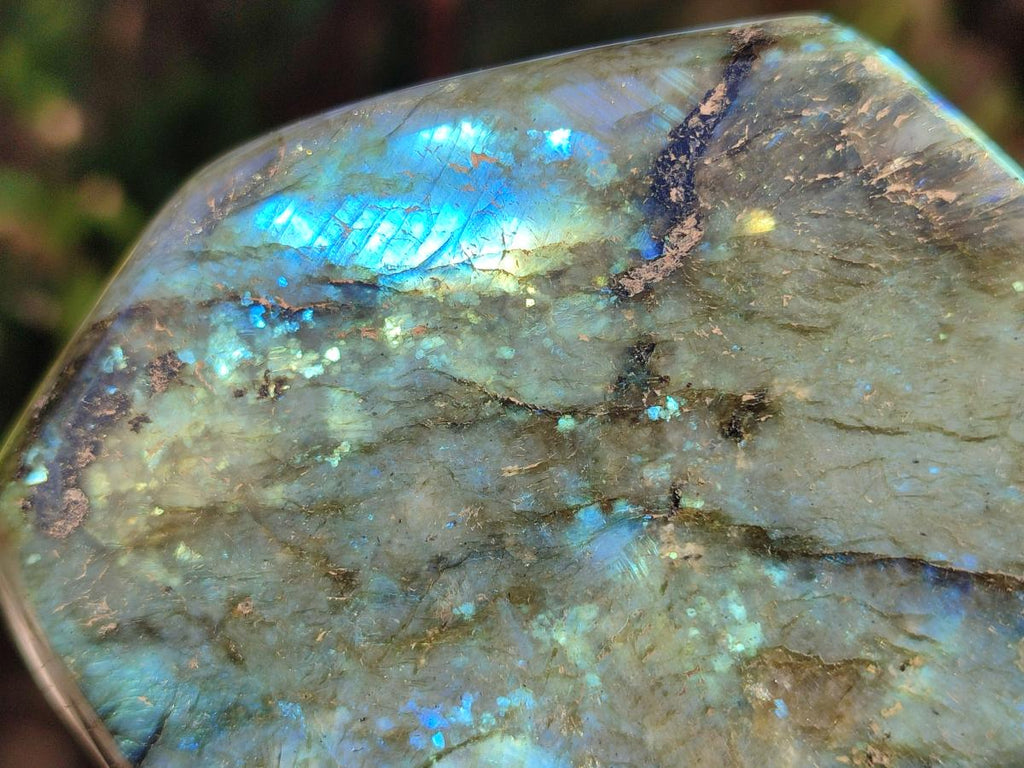 Polished Labradorite Standing Display Pieces x 2 From Madagascar - Toprock Gemstones and Minerals 