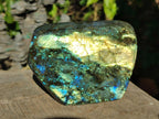 Polished Labradorite Standing Display Pieces x 2 From Madagascar - Toprock Gemstones and Minerals 