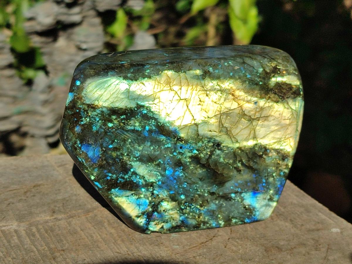 Polished Labradorite Standing Display Pieces x 2 From Madagascar - Toprock Gemstones and Minerals 