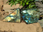 Polished Labradorite Standing Display Pieces x 2 From Madagascar - Toprock Gemstones and Minerals 