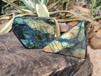 Polished Labradorite Standing Display Pieces x 2 From Madagascar - Toprock Gemstones and Minerals 