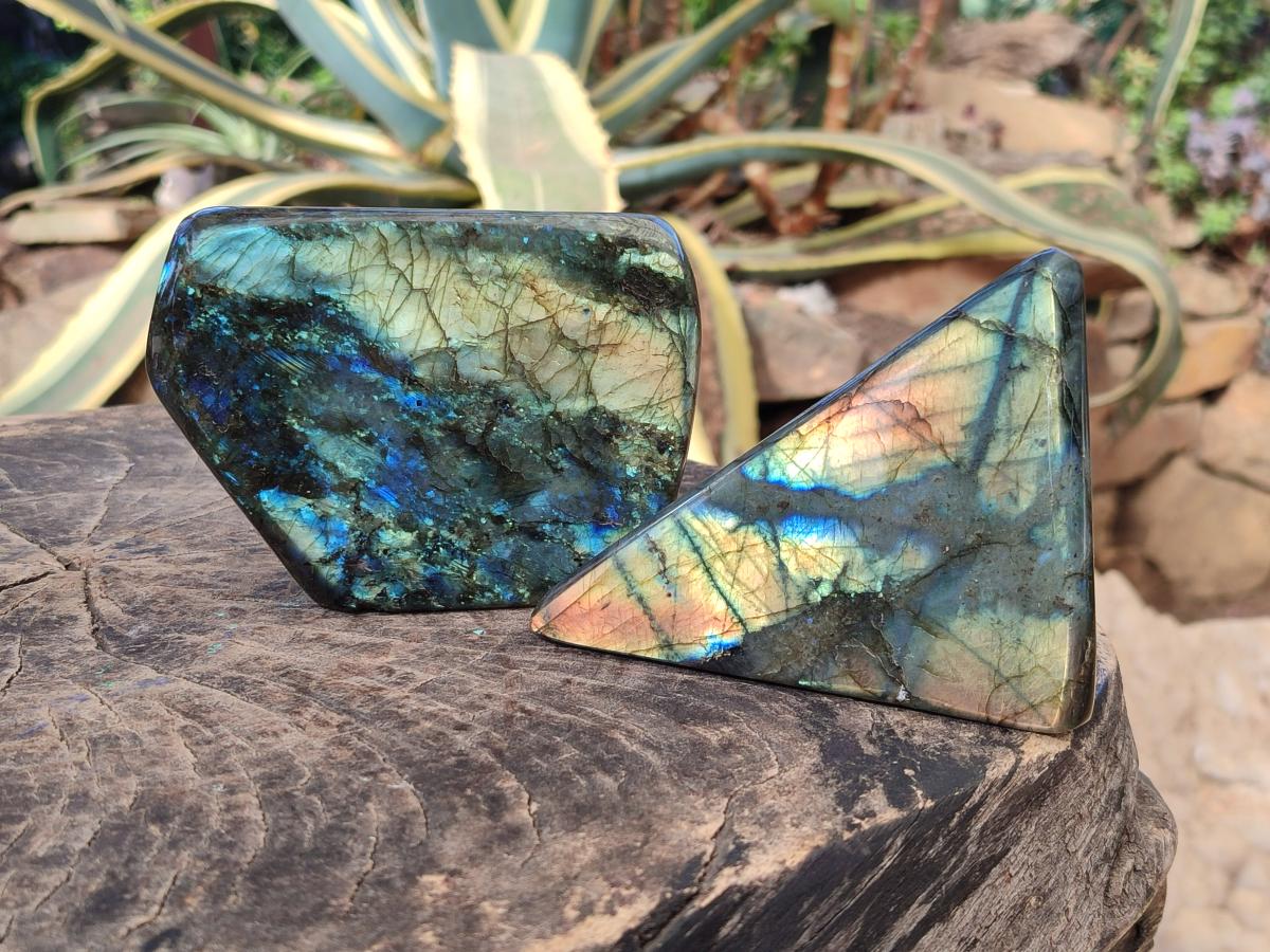 Polished Labradorite Standing Display Pieces x 2 From Madagascar - Toprock Gemstones and Minerals 