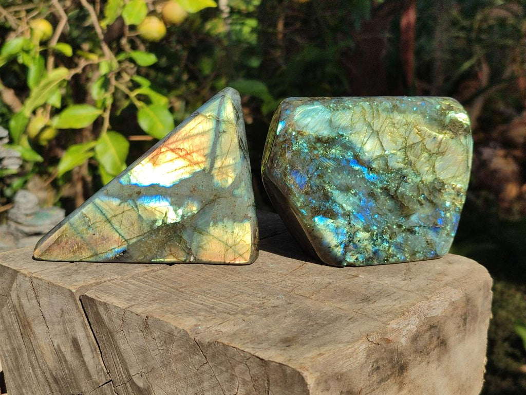 Polished Labradorite Standing Display Pieces x 2 From Madagascar - Toprock Gemstones and Minerals 