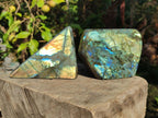Polished Labradorite Standing Display Pieces x 2 From Madagascar - Toprock Gemstones and Minerals 