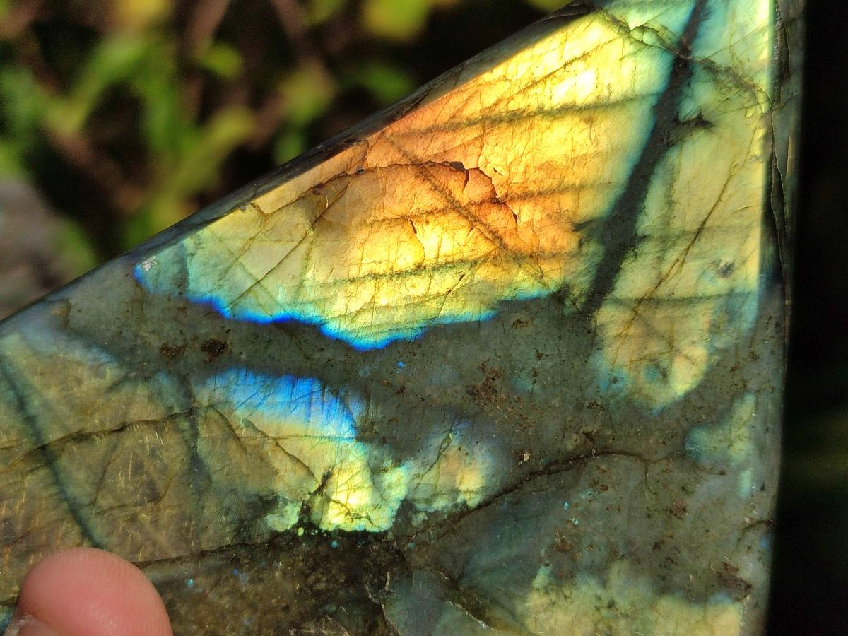 Polished Labradorite Standing Display Pieces x 2 From Madagascar - Toprock Gemstones and Minerals 