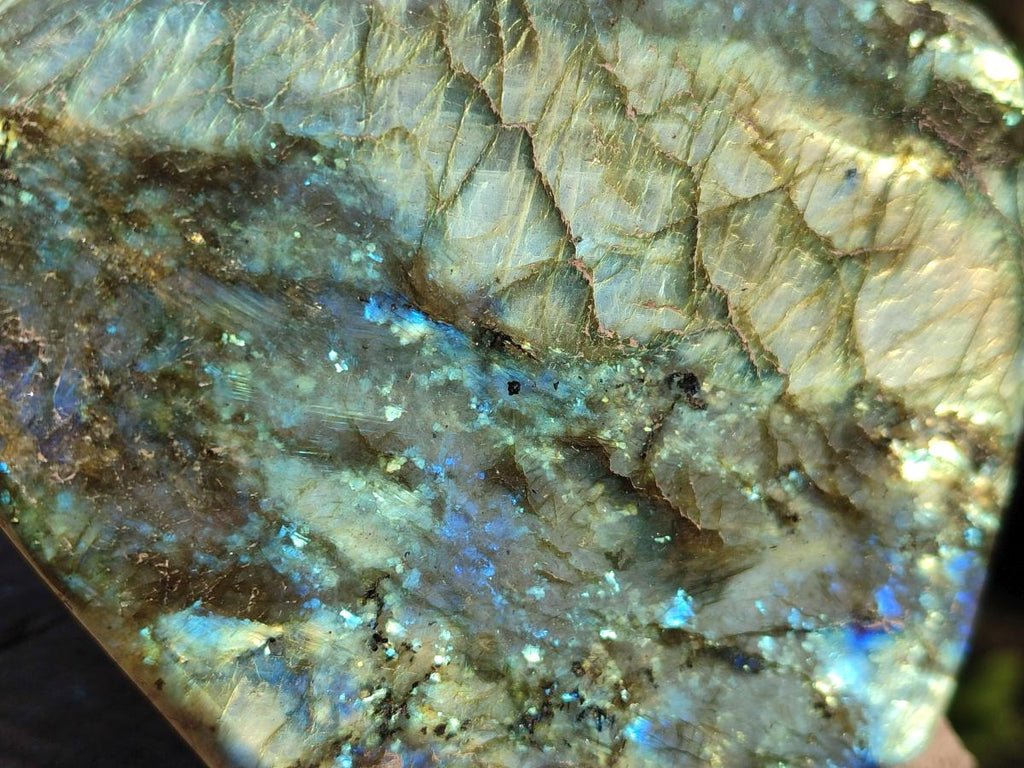 Polished Labradorite Standing Display Pieces x 2 From Madagascar - Toprock Gemstones and Minerals 