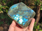 Polished Labradorite Standing Display Pieces x 2 From Madagascar - Toprock Gemstones and Minerals 
