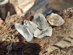 Natural Multi Mineral Specimens x 1.02 Kg Lot From Southern Africa - Toprock Gemstones and Minerals 