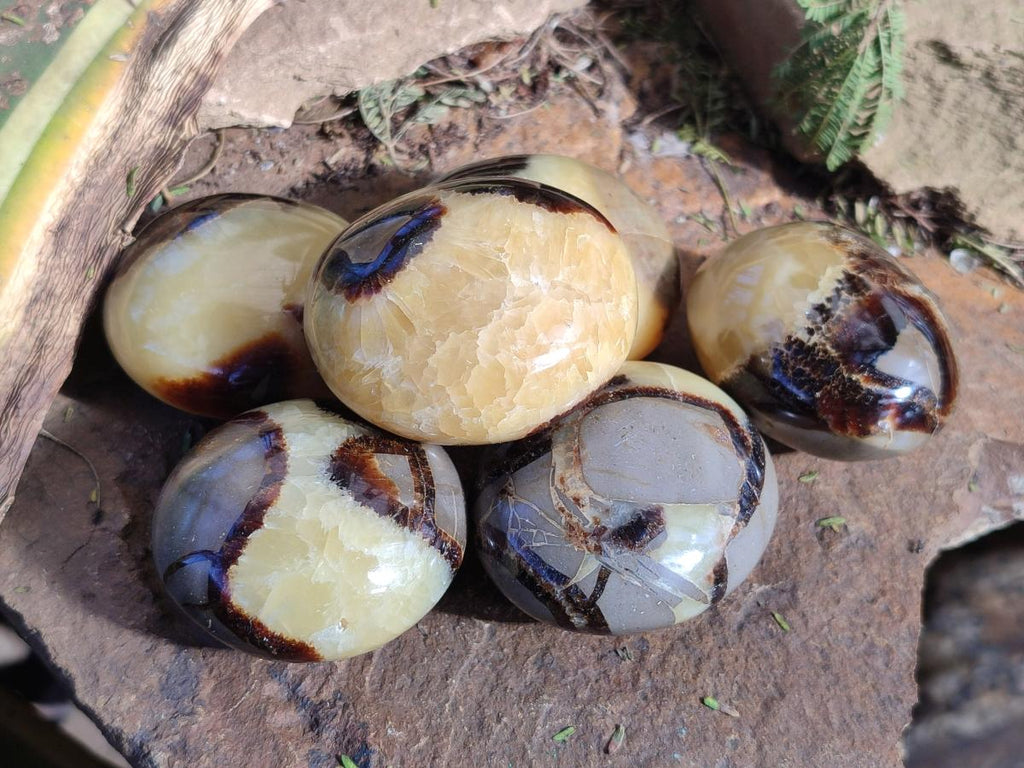 Polished Septerye Galets x 12 From Mahajanga, Madagascar - Toprock Gemstones and Minerals 