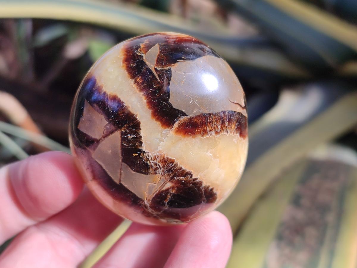Polished Septerye Galets x 12 From Mahajanga, Madagascar - Toprock Gemstones and Minerals 