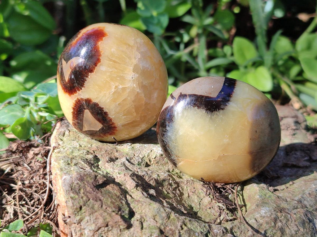 Polished Septerye Galets x 12 From Mahajanga, Madagascar - Toprock Gemstones and Minerals 