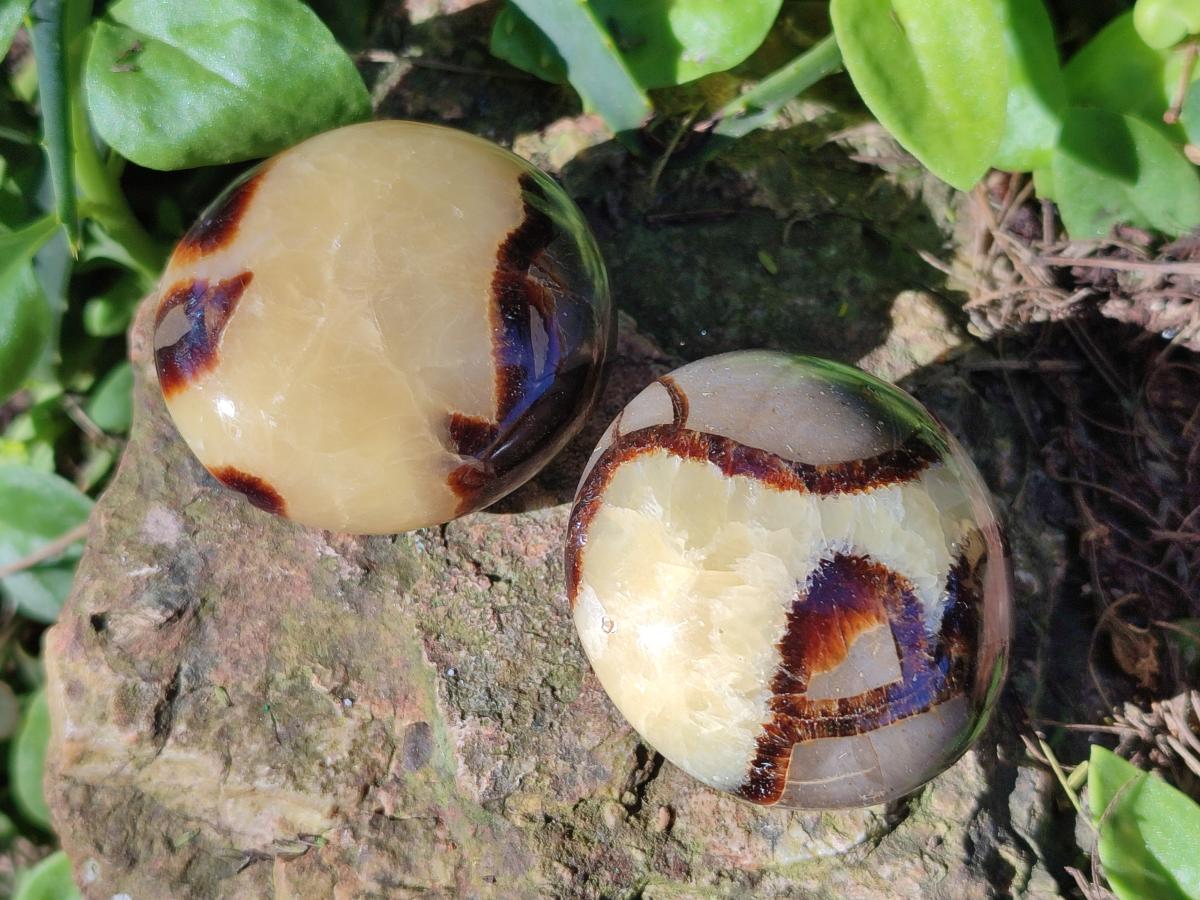 Polished Septerye Galets x 12 From Mahajanga, Madagascar - Toprock Gemstones and Minerals 