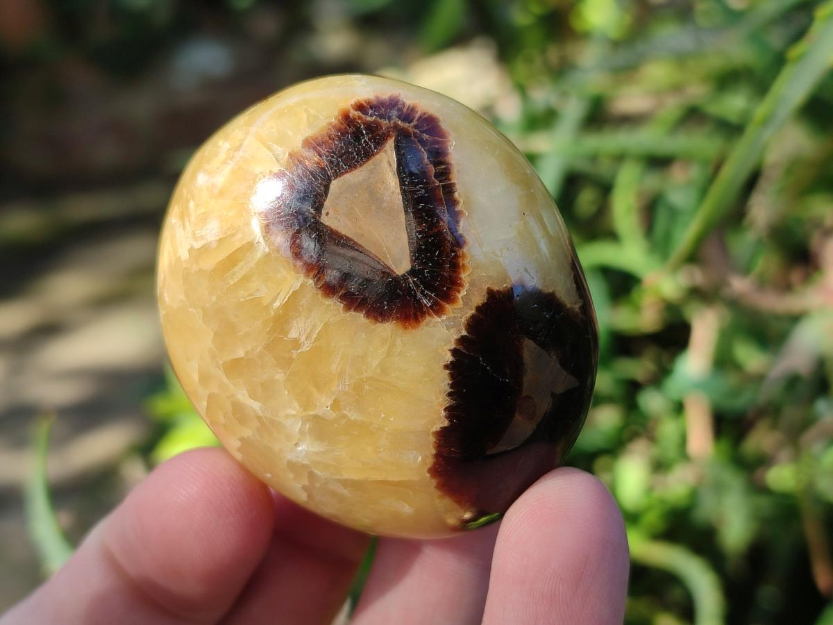 Polished Septerye Galets x 12 From Mahajanga, Madagascar - Toprock Gemstones and Minerals 