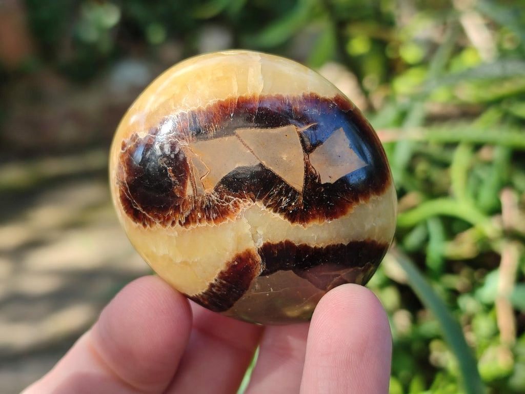 Polished Septerye Galets x 12 From Mahajanga, Madagascar - Toprock Gemstones and Minerals 