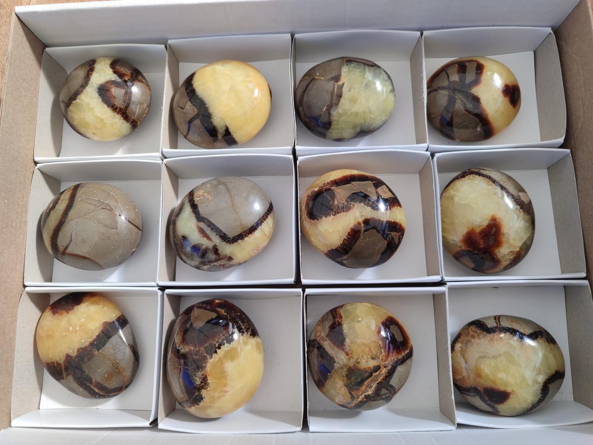 Polished Septerye Galets x 12 From Mahajanga, Madagascar - Toprock Gemstones and Minerals 