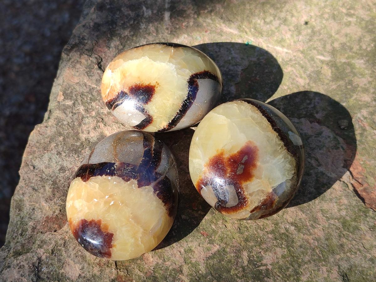 Polished Septerye Galets x 12 From Mahajanga, Madagascar - Toprock Gemstones and Minerals 