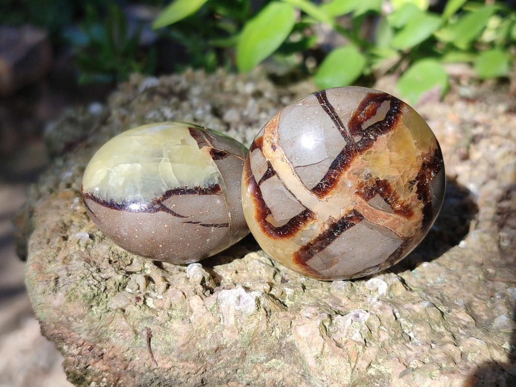 Polished Septerye Galets x 12 From Mahajanga, Madagascar - Toprock Gemstones and Minerals 