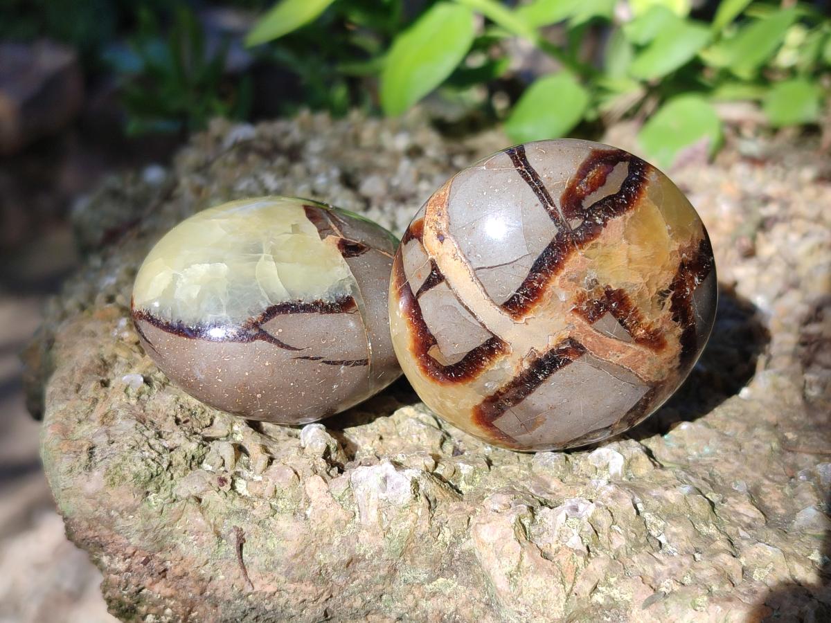 Polished Septerye Galets x 12 From Mahajanga, Madagascar - Toprock Gemstones and Minerals 