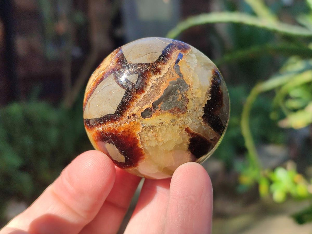 Polished Septerye Galets x 12 From Mahajanga, Madagascar - Toprock Gemstones and Minerals 
