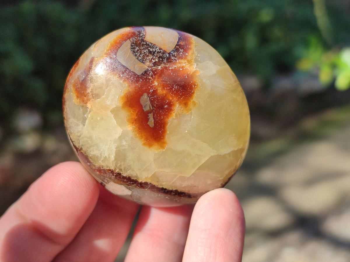 Polished Septerye Galets x 12 From Mahajanga, Madagascar - Toprock Gemstones and Minerals 