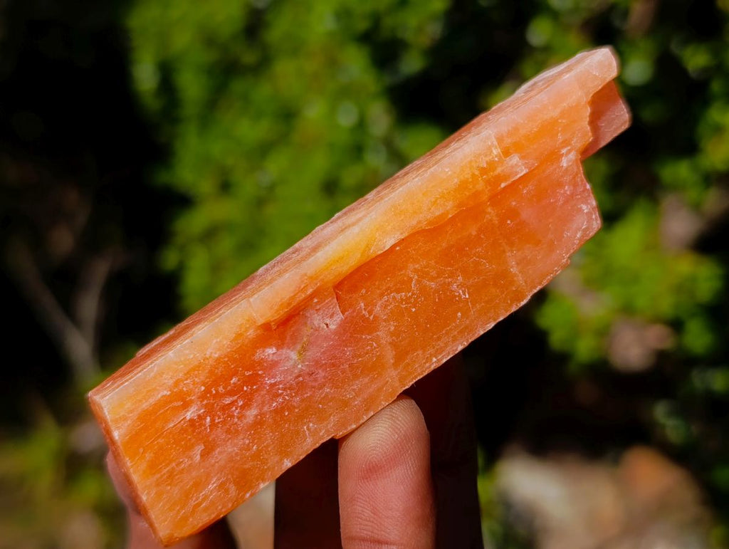 Natural Rhombohedral Sunset Orange Calcite Specimens x 24 From Spitzkop, Namibia - Toprock Gemstones and Minerals 