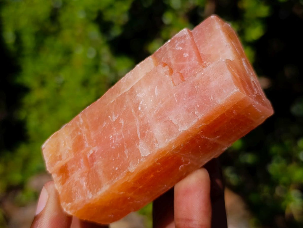 Natural Rhombohedral Sunset Orange Calcite Specimens x 24 From Spitzkop, Namibia - Toprock Gemstones and Minerals 
