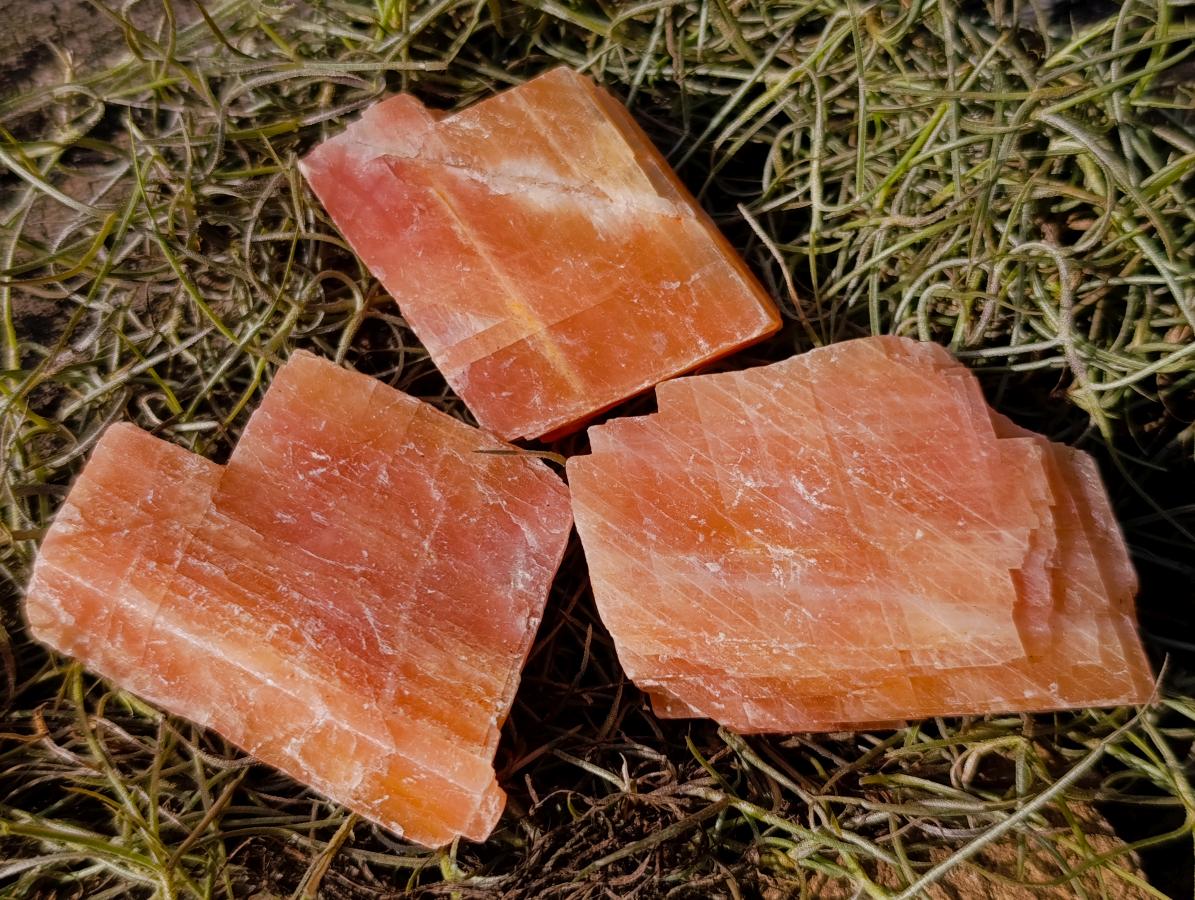 Natural Rhombohedral Sunset Orange Calcite Specimens x 24 From Spitzkop, Namibia - Toprock Gemstones and Minerals 